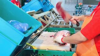 Yanbu, Saudi Arabia - корниш и рыбалка у волнолома