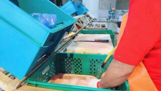 Yanbu, Saudi Arabia - корниш и рыбалка у волнолома