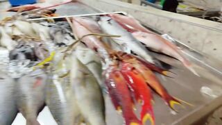 Yanbu, Saudi Arabia - корниш и рыбалка у волнолома