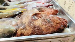 Yanbu, Saudi Arabia - корниш и рыбалка у волнолома