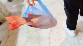 Yanbu, Saudi Arabia - корниш и рыбалка у волнолома