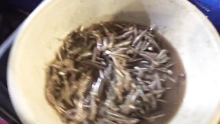 Yanbu, Saudi Arabia — рыбный рынок и чистка улова на месте