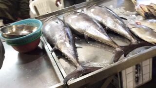 Yanbu, Saudi Arabia — рыбный рынок и чистка улова на месте