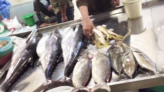 Yanbu, Saudi Arabia — рыбный рынок и чистка улова на месте