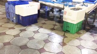 Yanbu, Saudi Arabia — рыбный рынок и чистка улова на месте