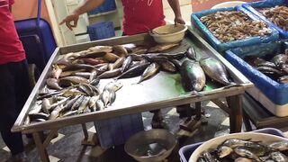 Yanbu, Saudi Arabia — рыбный рынок и чистка улова на месте
