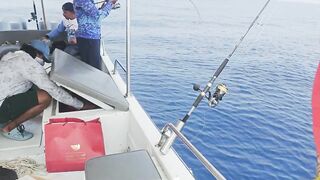 Al Lith offshore jigging — группер, снаппер и проводка по свалам