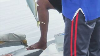 Al Lith offshore jigging — группер, снаппер и проводка по свалам