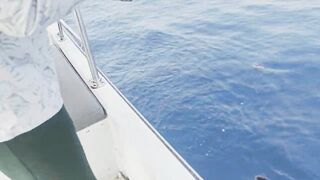 Al Lith offshore jigging — группер, снаппер и проводка по свалам