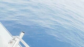 Al Lith offshore jigging — группер, снаппер и проводка по свалам