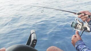 Al Lith offshore jigging — группер, снаппер и проводка по свалам