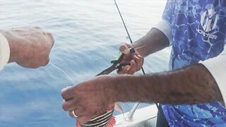 Al Lith offshore jigging — группер, снаппер и проводка по свалам