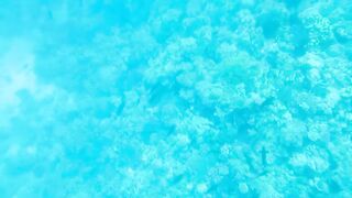 Al Lith — рыбная стоянка: что купить после рыбалки