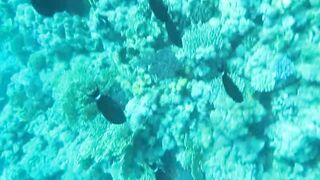 Al Lith — рыбная стоянка: что купить после рыбалки