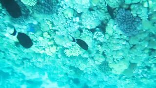 Al Lith — рыбная стоянка: что купить после рыбалки