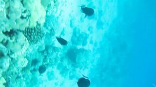 Al Lith — рыбная стоянка: что купить после рыбалки