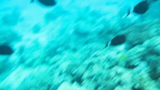 Al Lith — рыбная стоянка: что купить после рыбалки