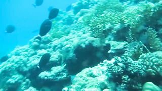 Al Lith — рыбная стоянка: что купить после рыбалки