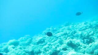 Al Lith — рыбная стоянка: что купить после рыбалки