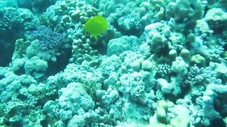 Al Lith — рыбная стоянка: что купить после рыбалки