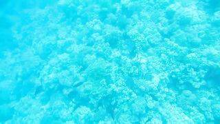 Al Lith — рыбная стоянка: что купить после рыбалки