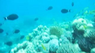 Al Lith — рыбная стоянка: что купить после рыбалки