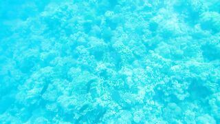 Al Lith — рыбная стоянка: что купить после рыбалки