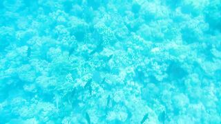 Al Lith — рыбная стоянка: что купить после рыбалки