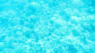 Al Lith — рыбная стоянка: что купить после рыбалки