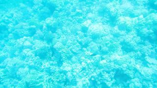 Al Lith — рыбная стоянка: что купить после рыбалки