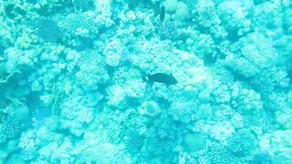 Al Lith — рыбная стоянка: что купить после рыбалки