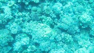 Al Lith — рыбная стоянка: что купить после рыбалки