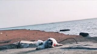 Координата скрыта: это рыбалка или просто отметка на карте?