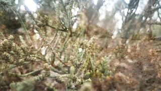 Координата скрыта: это рыбалка или просто отметка на карте?