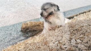 Координата скрыта: это рыбалка или просто отметка на карте?