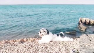 Координата скрыта: это рыбалка или просто отметка на карте?