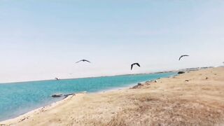 Координата скрыта: это рыбалка или просто отметка на карте?