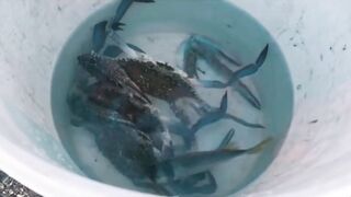 Координата скрыта: это рыбалка или просто отметка на карте?