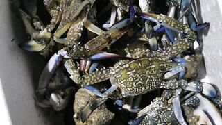 Координата скрыта: это рыбалка или просто отметка на карте?