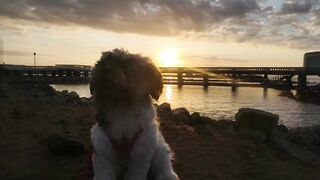 Координата скрыта: это рыбалка или просто отметка на карте?