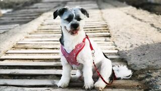 Координата скрыта: это рыбалка или просто отметка на карте?