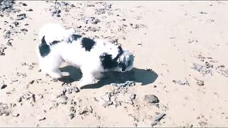 Координата скрыта: это рыбалка или просто отметка на карте?