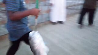 Al Lith Beach — bayad с берега: как поймать у свала