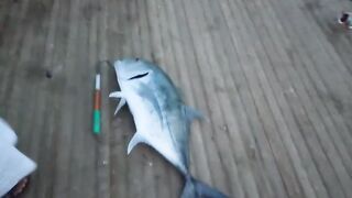 Al Lith Beach — bayad с берега: как поймать у свала