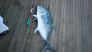 Al Lith Beach — bayad с берега: как поймать у свала