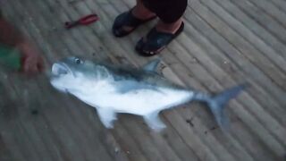 Al Lith Beach — bayad с берега: как поймать у свала