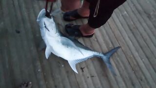 Al Lith Beach — bayad с берега: как поймать у свала