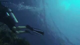 Al Lith — угорь у берега: когда выходит на кормёжку?