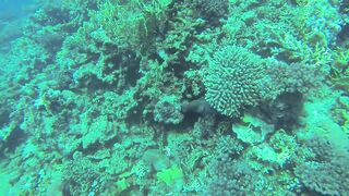 Al Lith — угорь у берега: когда выходит на кормёжку?