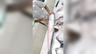 Jazan Fish Market - где искать свежего тунца после рыбалки